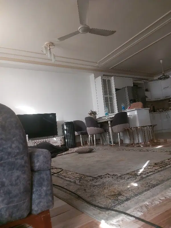 نیازمند همخانه خانم