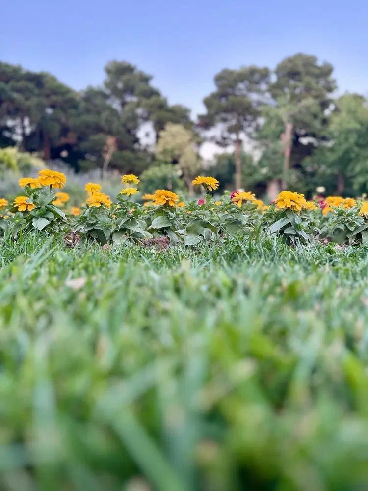 زمین در لوکیشن شمال شرق  قزوین (باقرآباد)