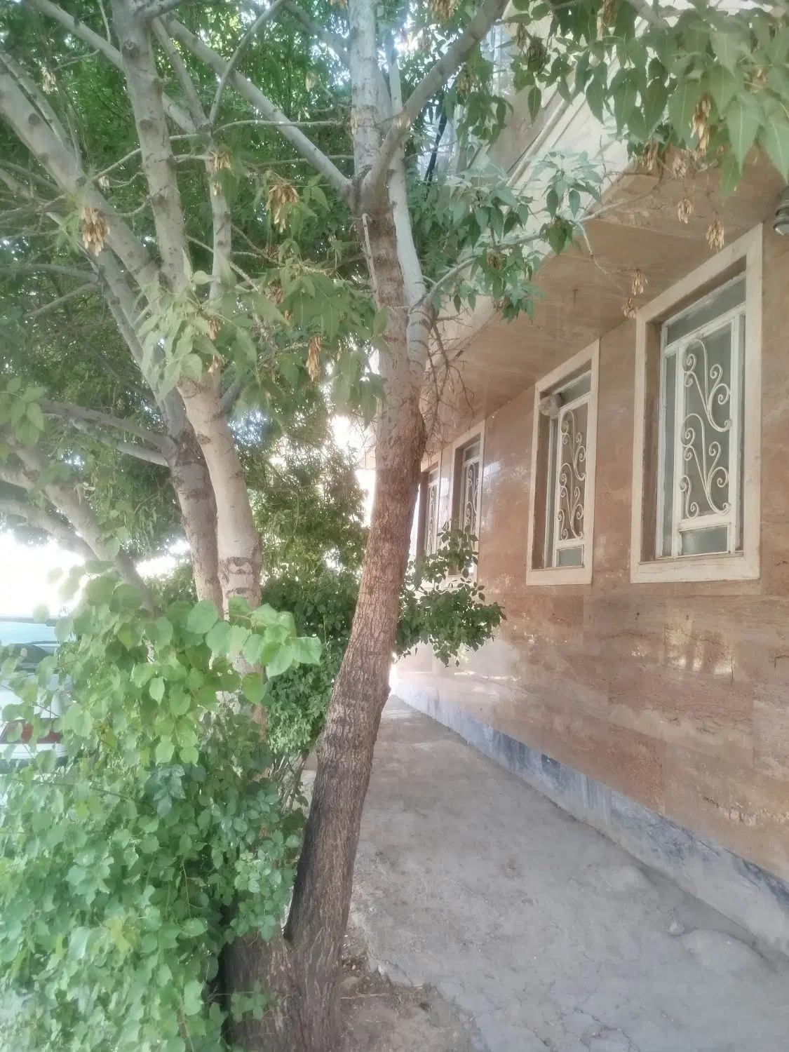 رهن و اجاره