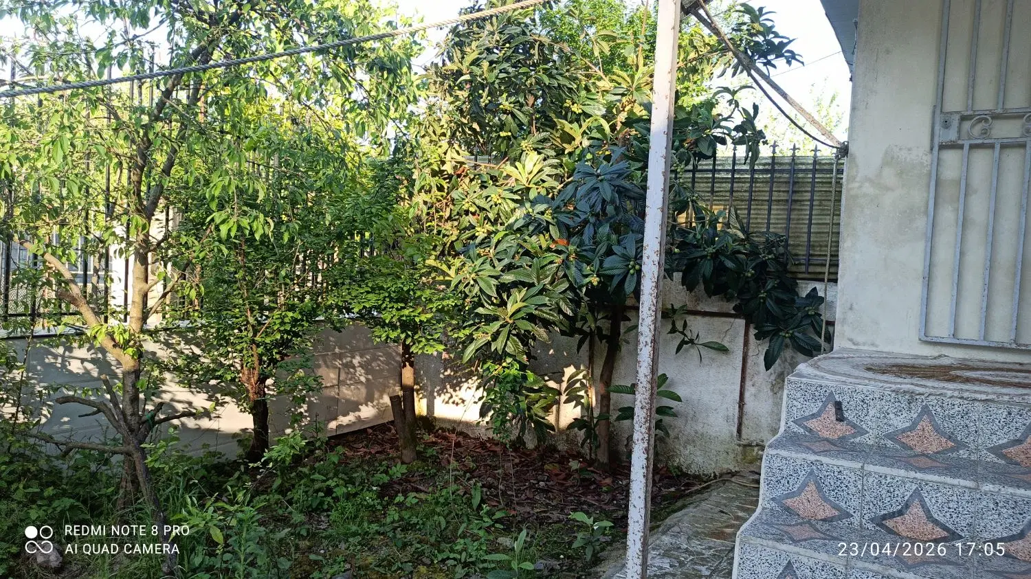 سوییت اجاره سالیانه