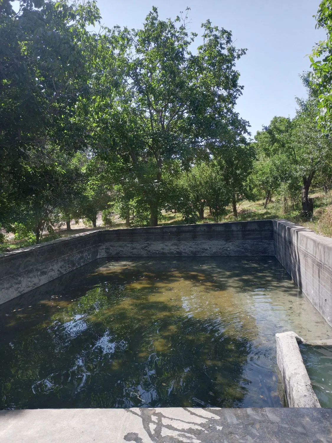باغ خور علیا حدود ۲ هکتار