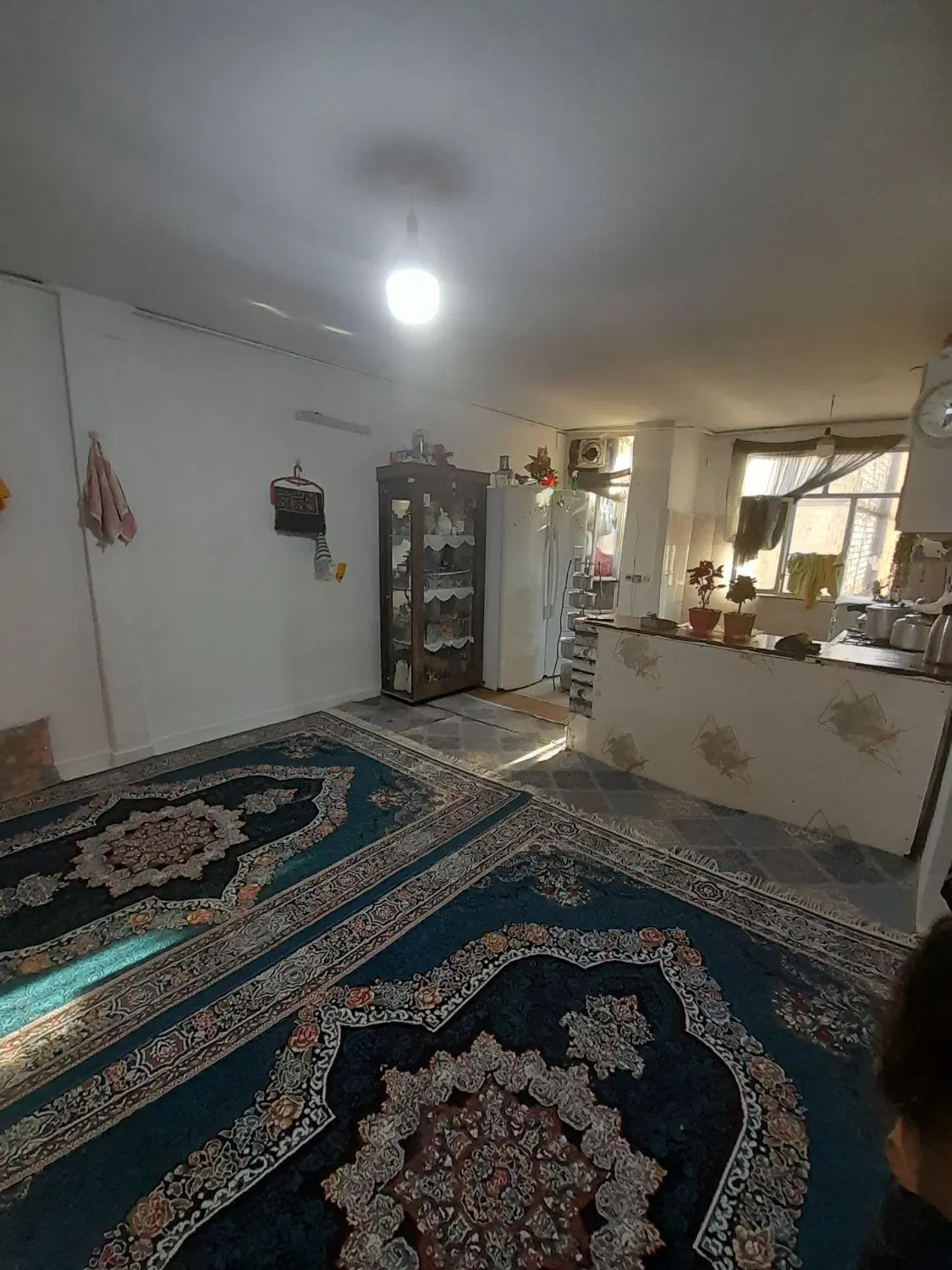 همخونه میشم