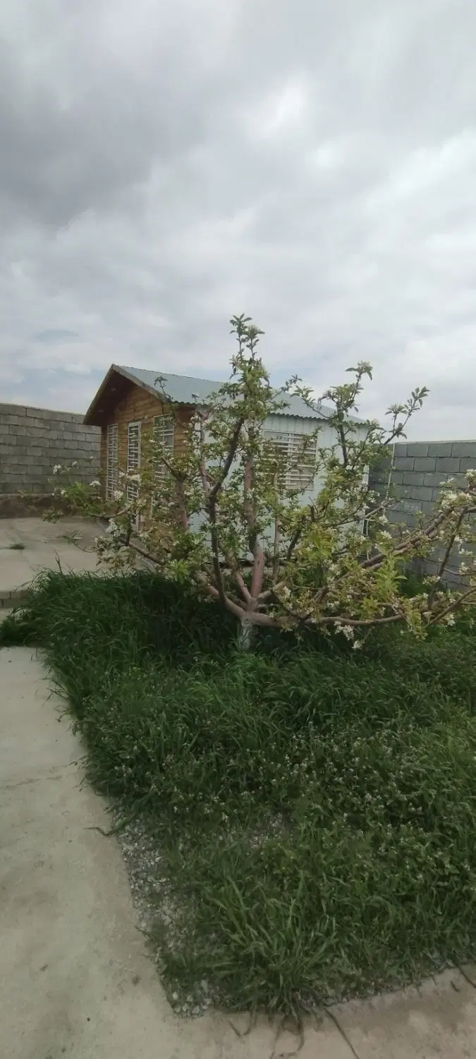باغچه دنج و آرام