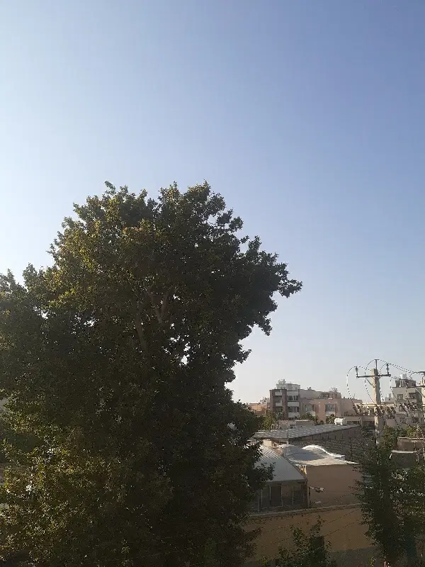 زمین روبروی مسکن ملی
