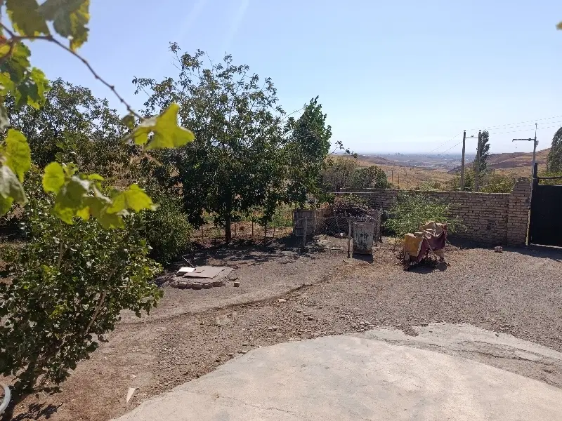 زمین و باغ با چشمه شخصی روستای سفیده کش