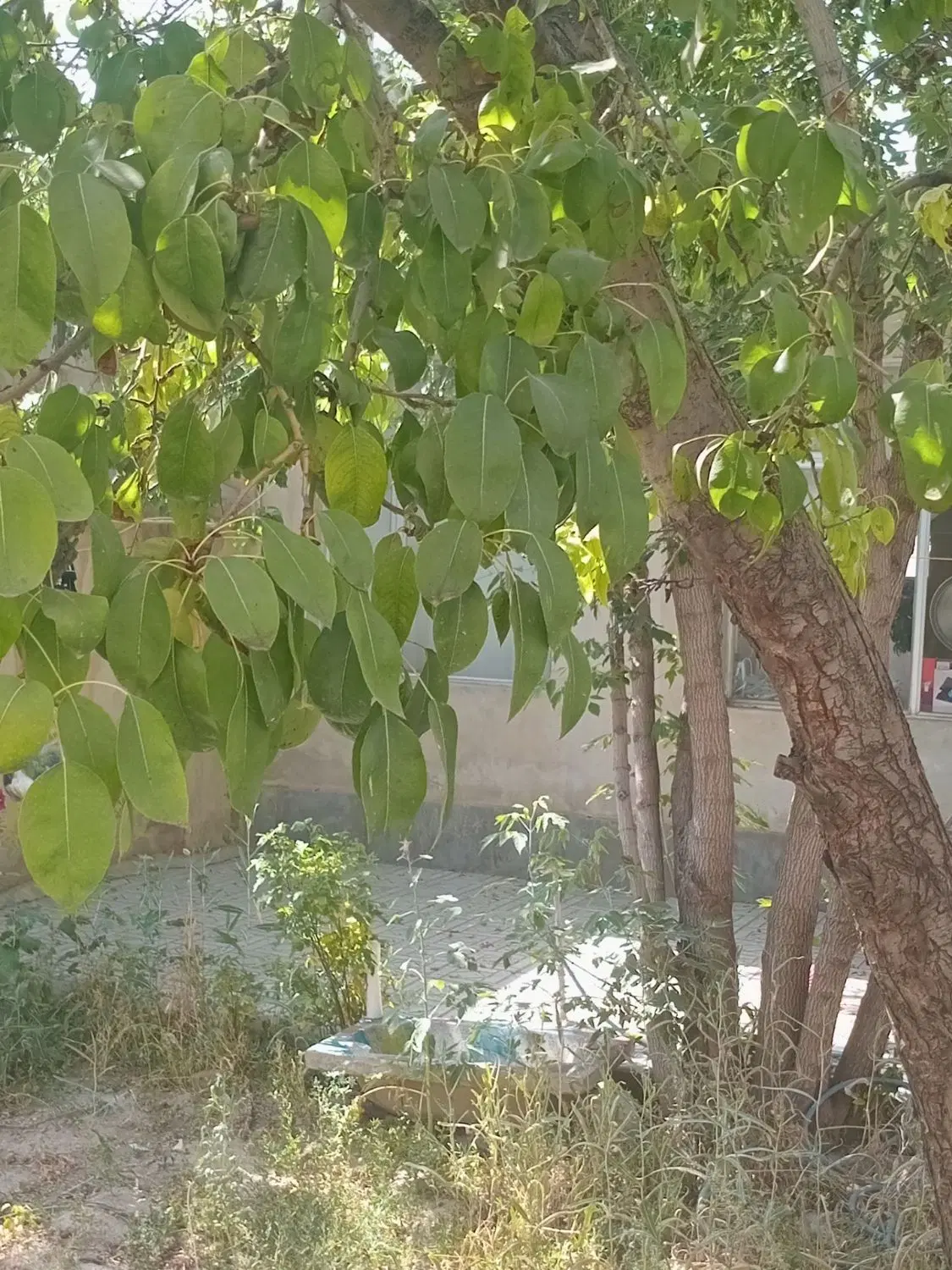 خانه ویلایی ۱۹۷ متری در گلمغان