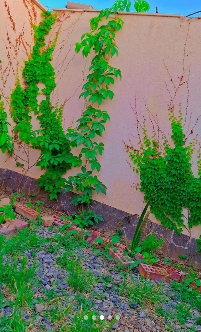 آپارتمان نیروهوایی فرهنگیان