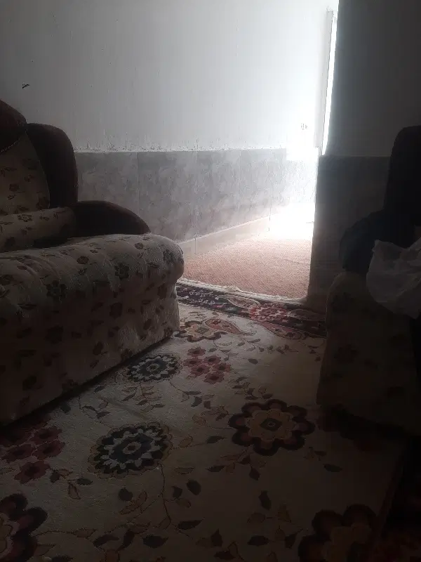 همخونه هم خانه