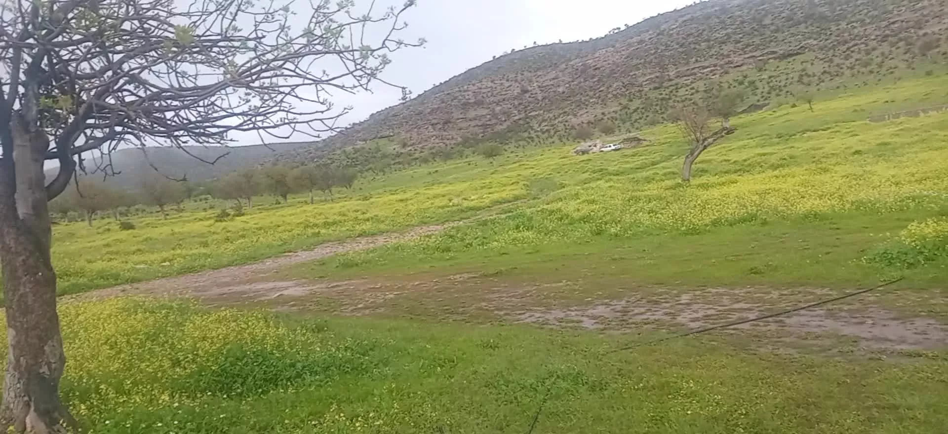 اجاره زمین و مرتع