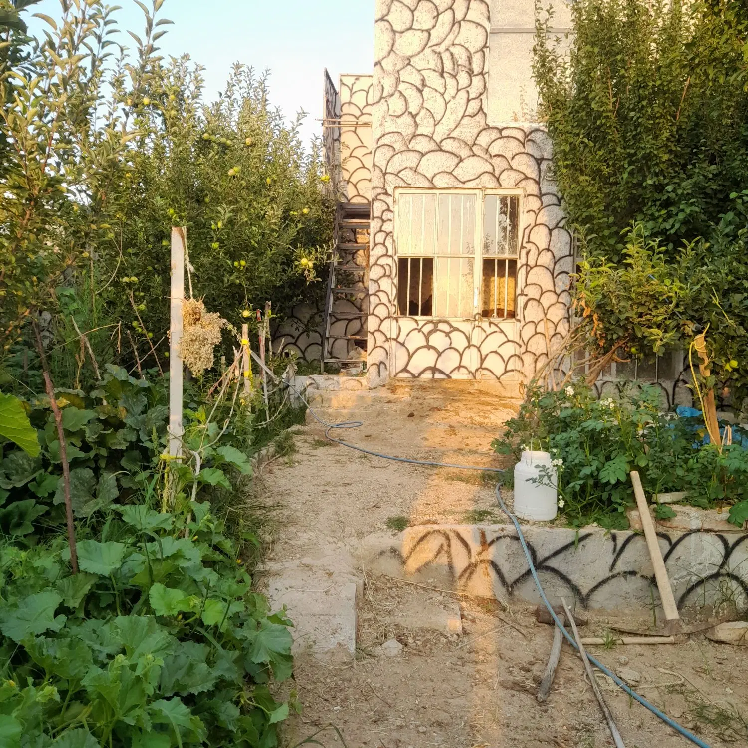 خانه باغچه