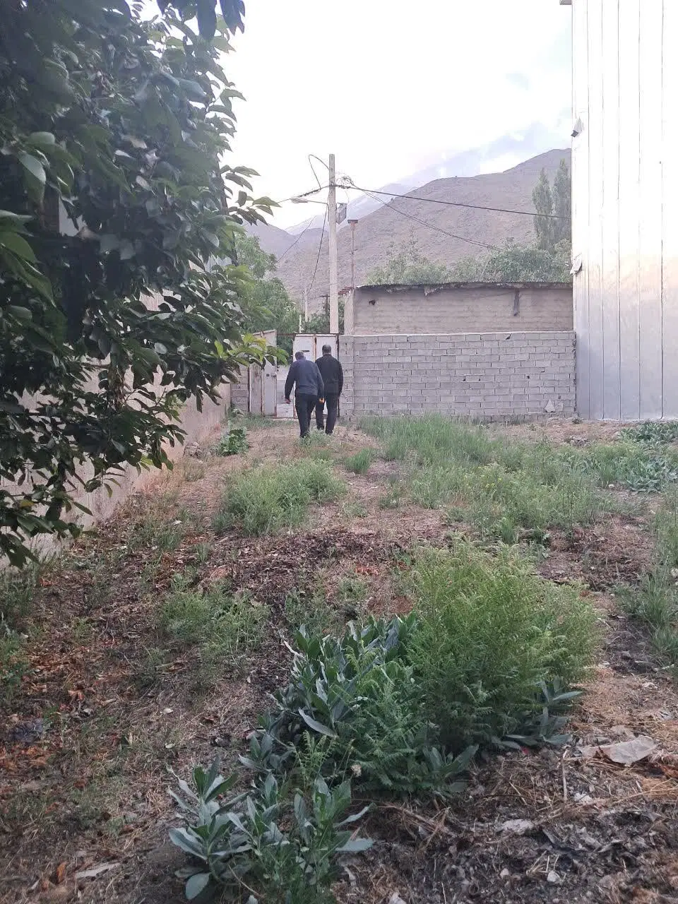زمین 180 متری رینه لاریجان داخل بافت