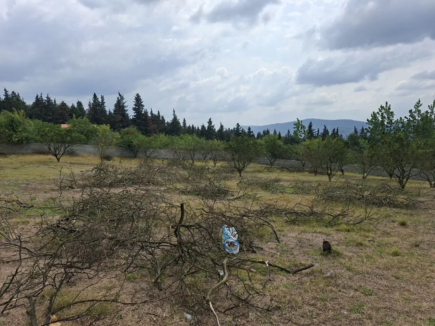 زمین ۱۰۰۰ متری روستای تنگه لته