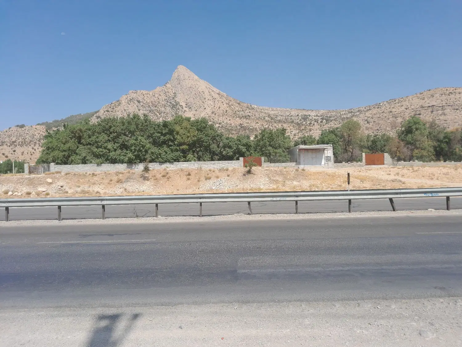 زمین دشت ارژن