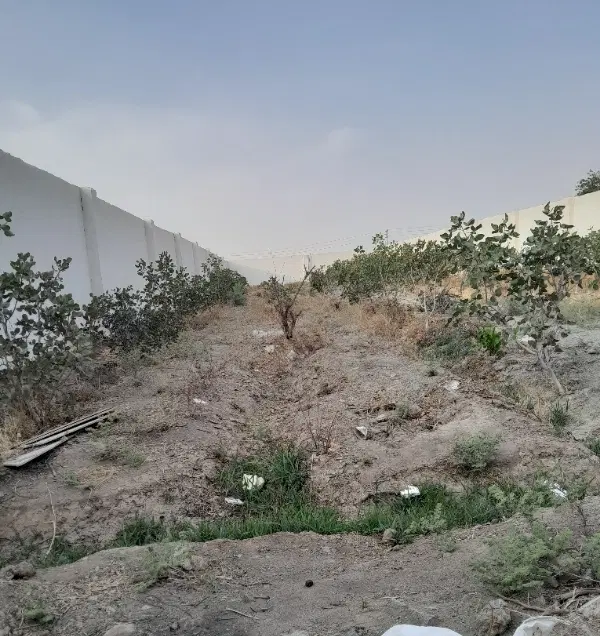 فروش باغ