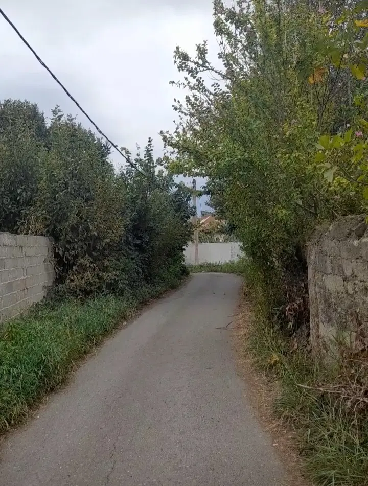 خانه کلنگی