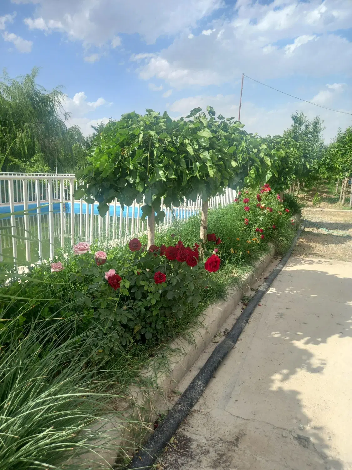 باغ ویلا متراژ ۲۲۰۰متر خونش دوبلکس