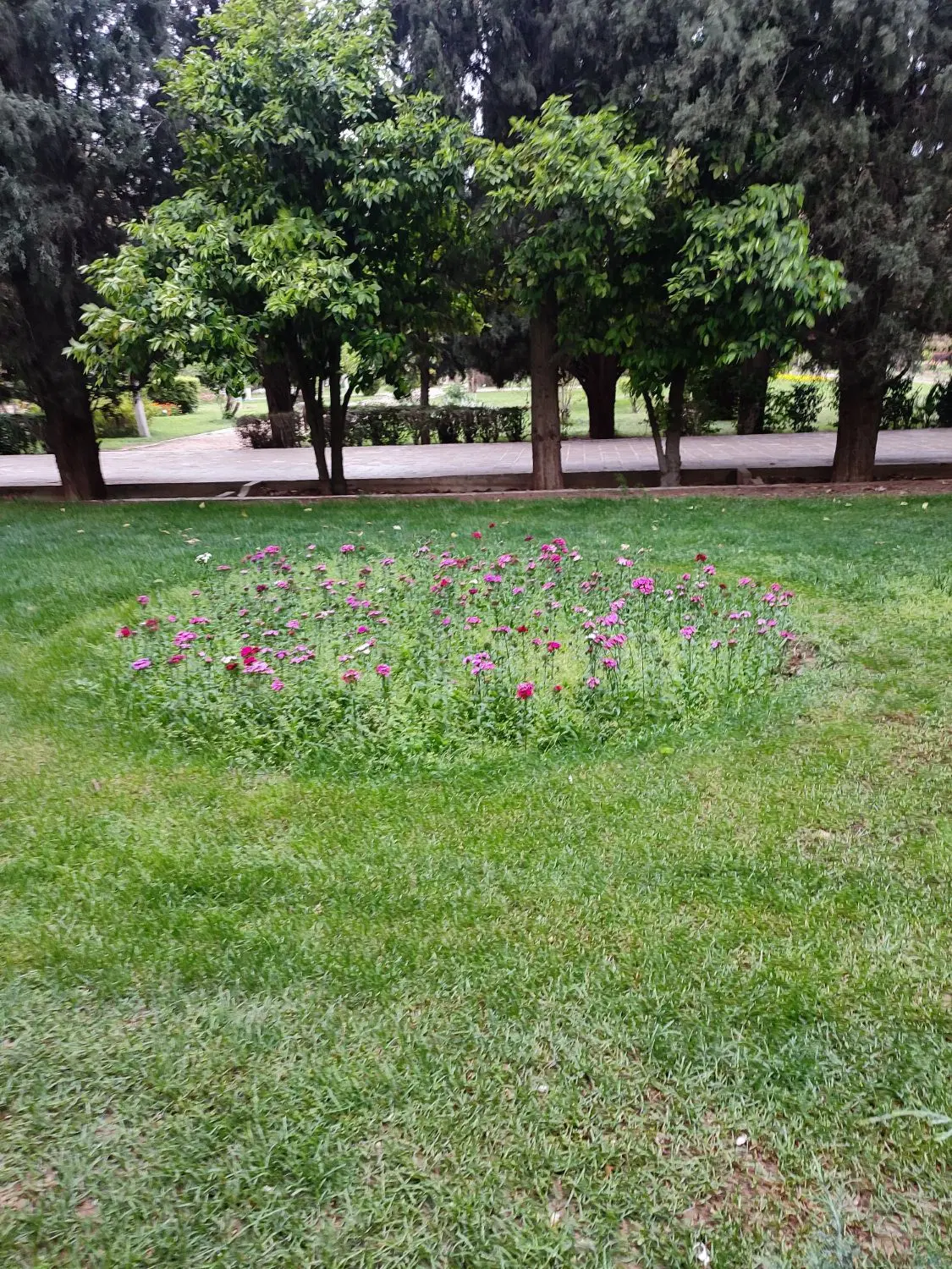 خونه باغ