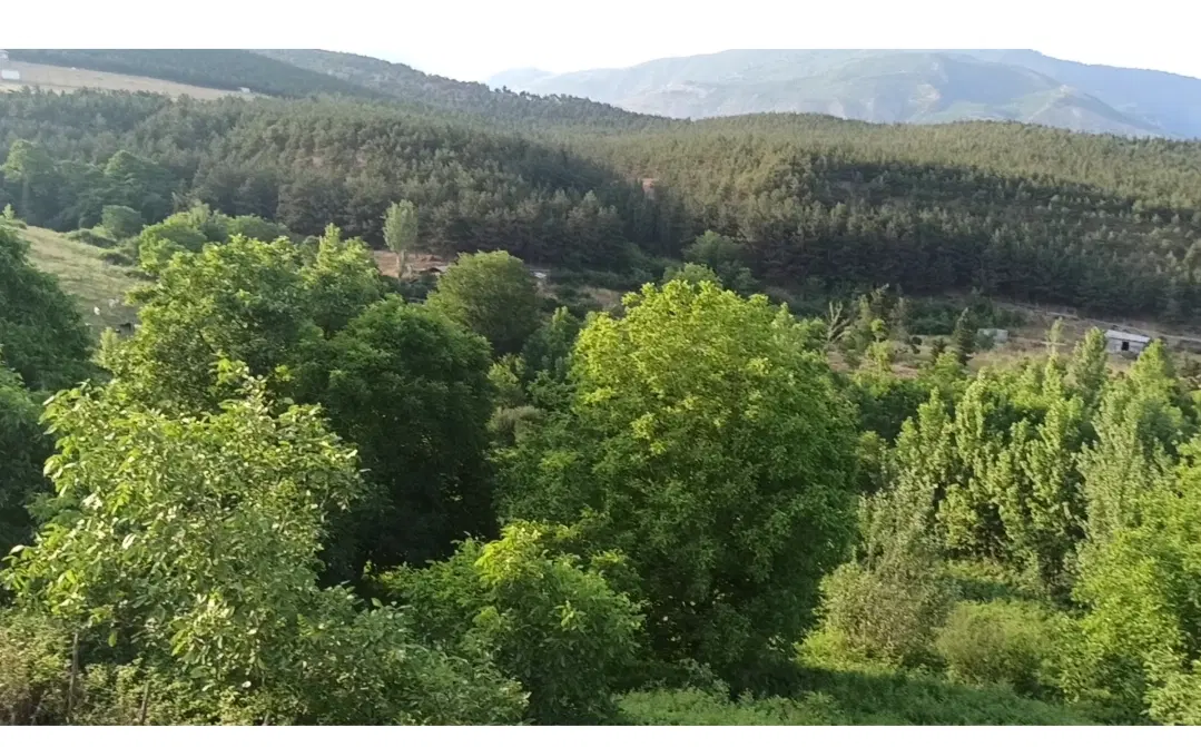زمین روستای سنار
