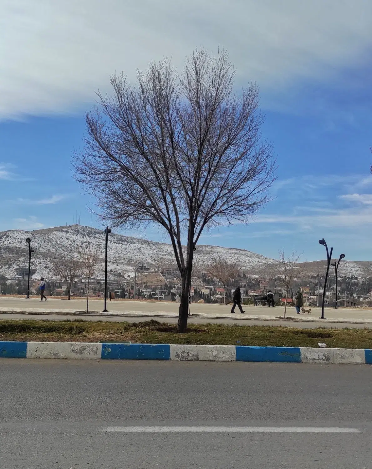 فروش زمین مسکونی 240 متر