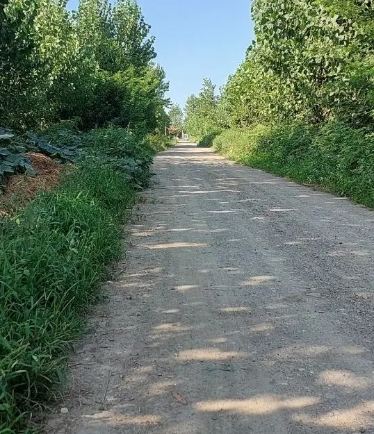 زمین مسکونی