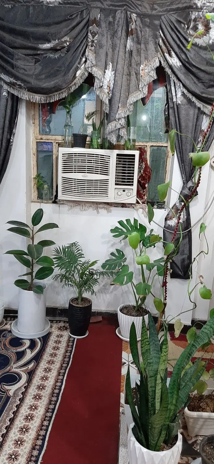 همخونه.یااجاره میخام.