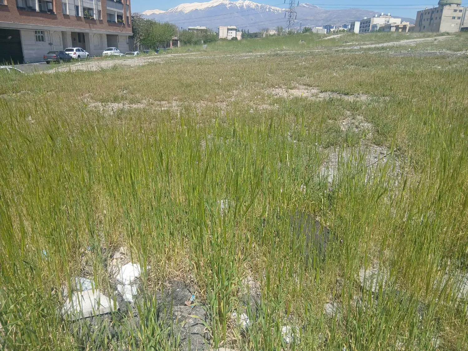 زمین خانه باغ ویلا
