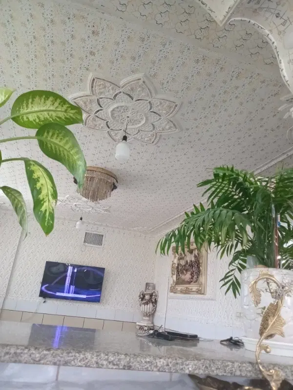 اجاره مغازه ولی عصر جنوبی