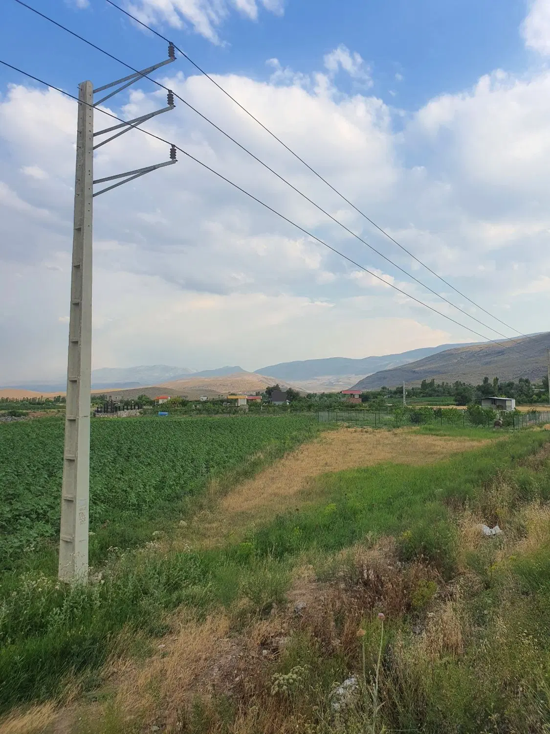 زمین باغ در روستای رند