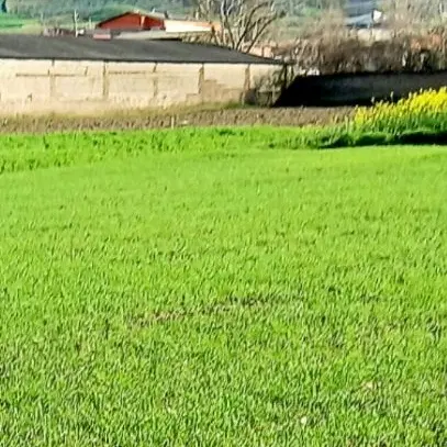 زمین فروشی علی آباد کتول عباس آباد