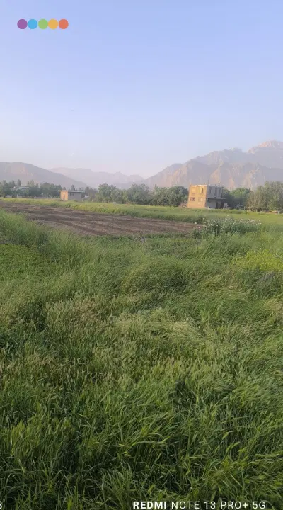 زمین (خانه باغ)حافظیه وسط شهر