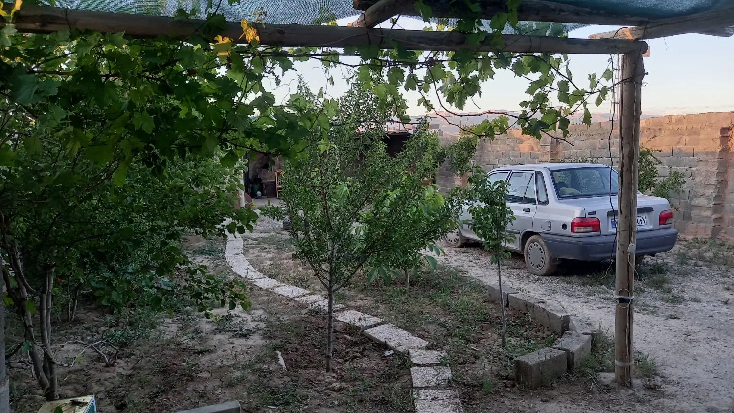 فروش مرغداری فعال