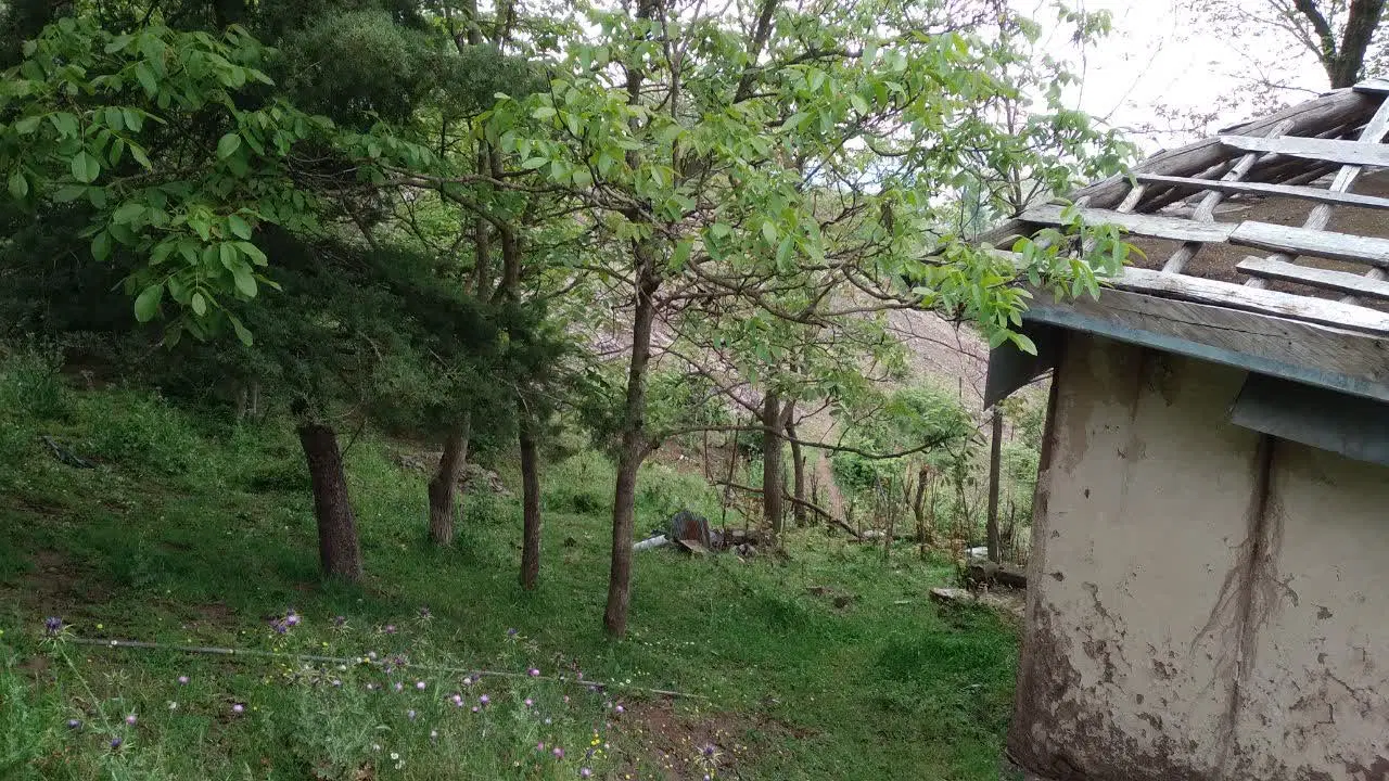 زمین ییلاقی مزرن آباد کتیر