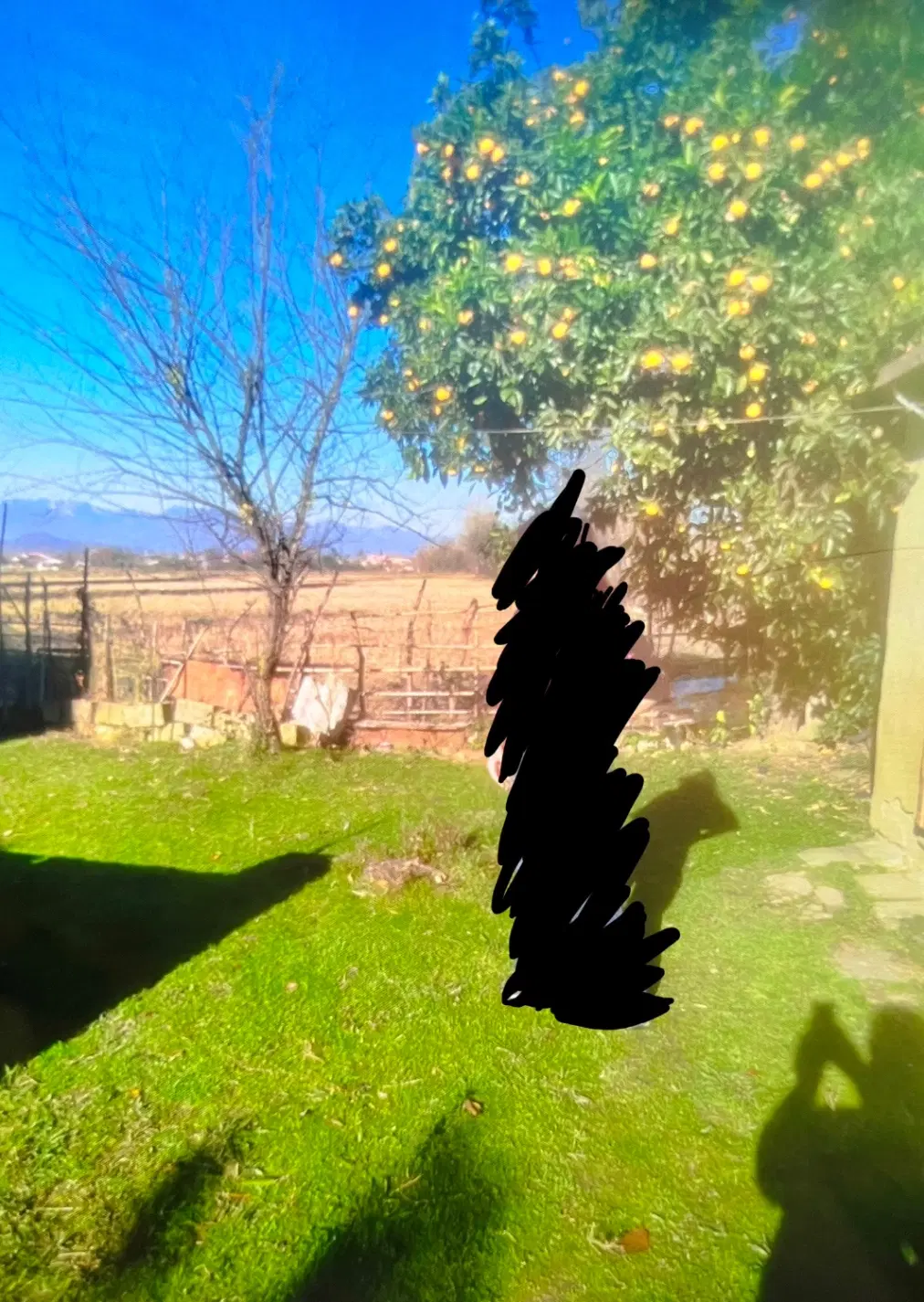 فروش خانه کلنگی همراه با زمین (مسکونی)