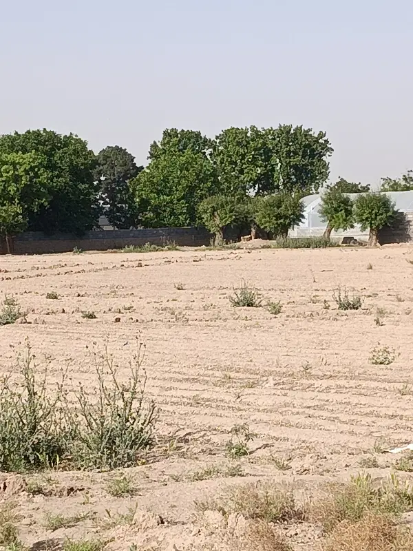 زمین باغ باغچه