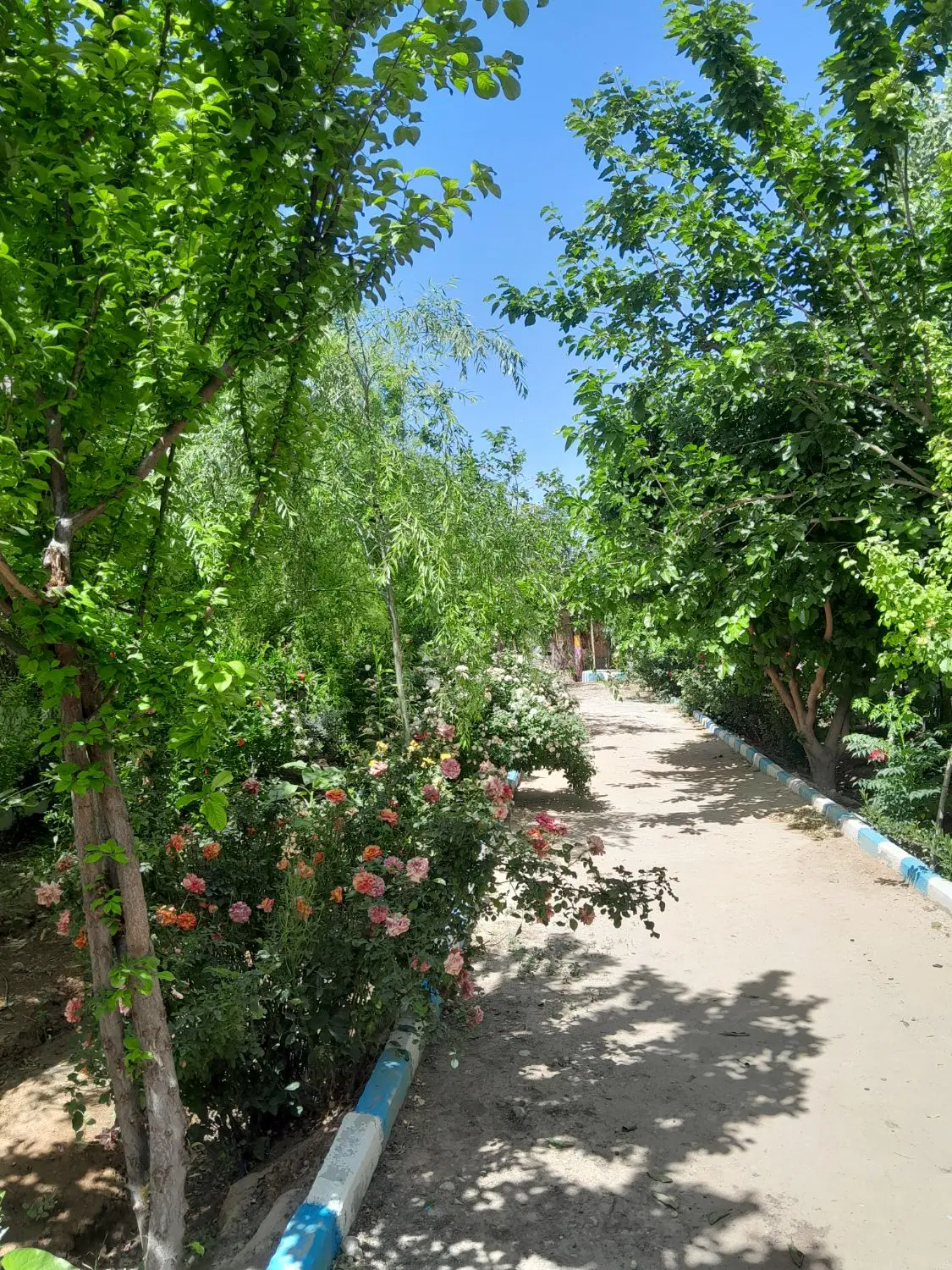 باغچه ۶۰۰متری