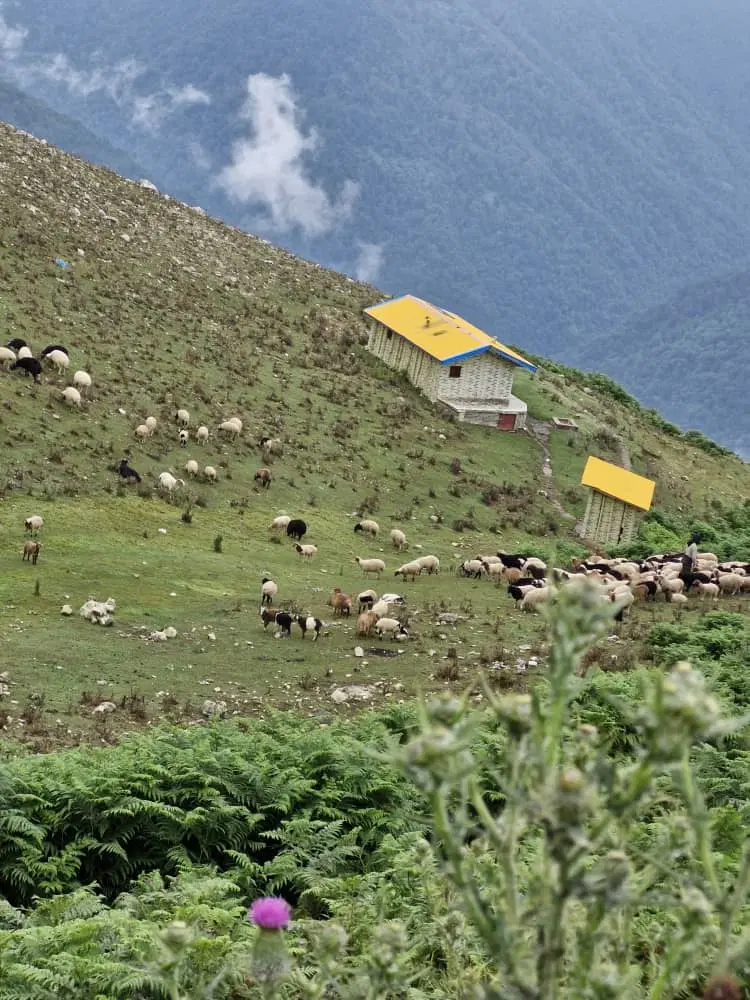 زمین با آب برق سند