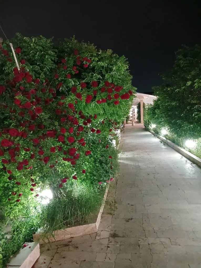 اپارتمان ۸۲ متر طبقه چهارم با اسانسور بازسازی شده