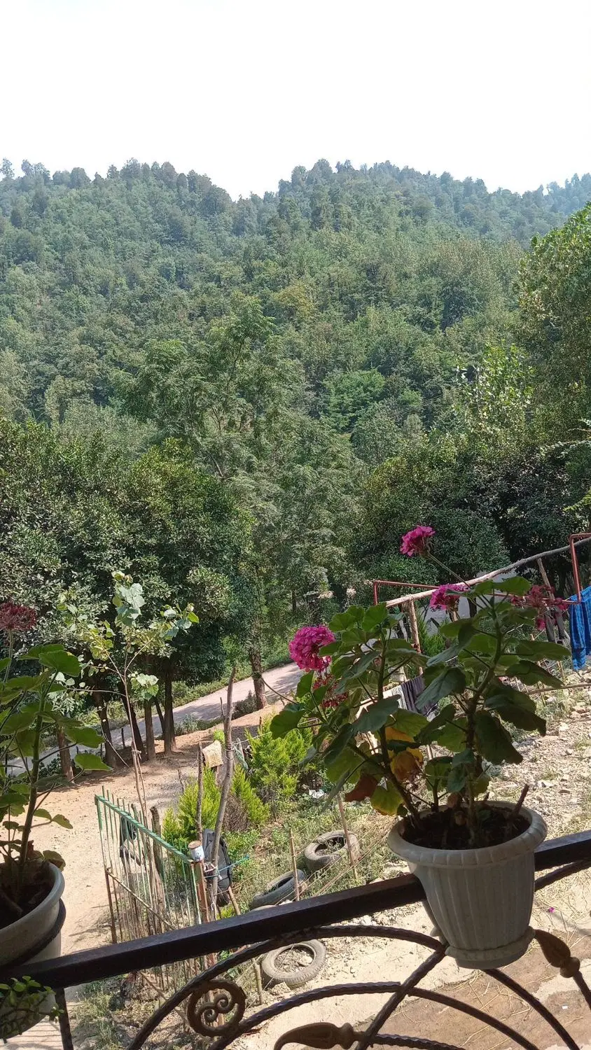 ویلا