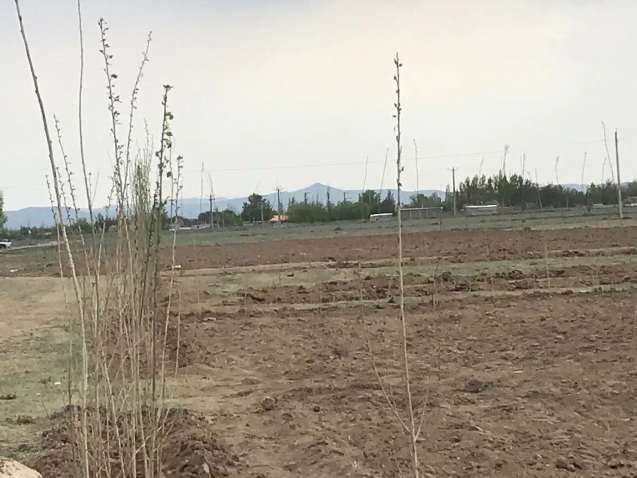 زمین دو هزار متر زراعی بغل آب برق گاز نمین نوشنق