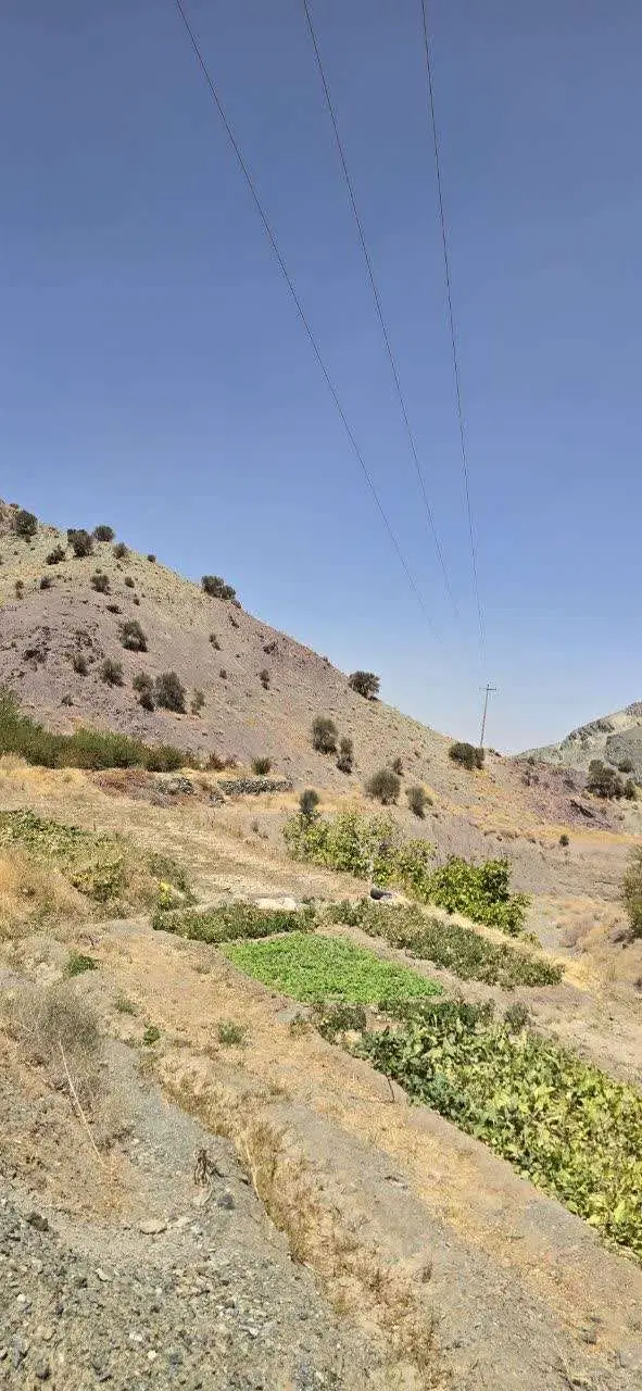 باغ فروشی آبشر بهدان