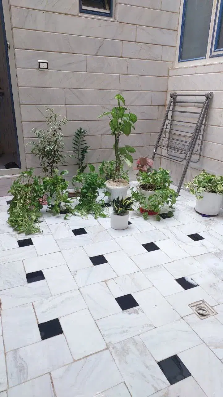 اجاره خانه تمیز عروس داماد پسند