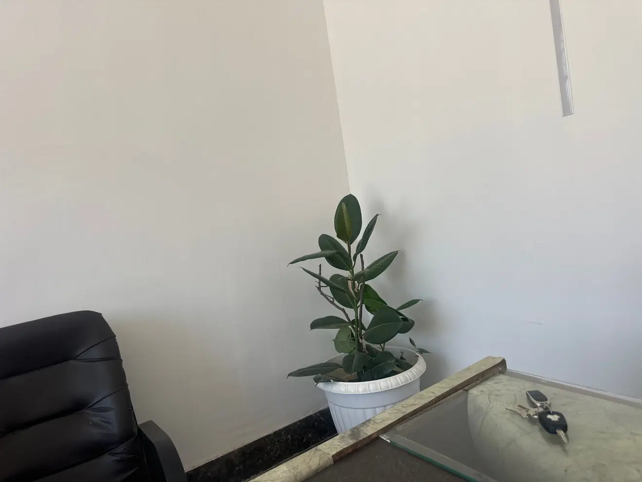 ۲۸۰متر کوچه هشت گلستان