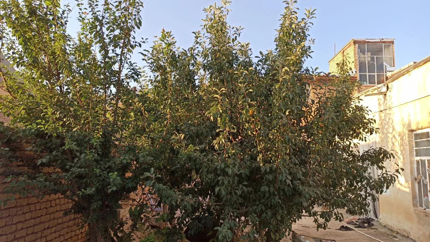 خانه تابستانی در دامنه مناسب فرار از گرما