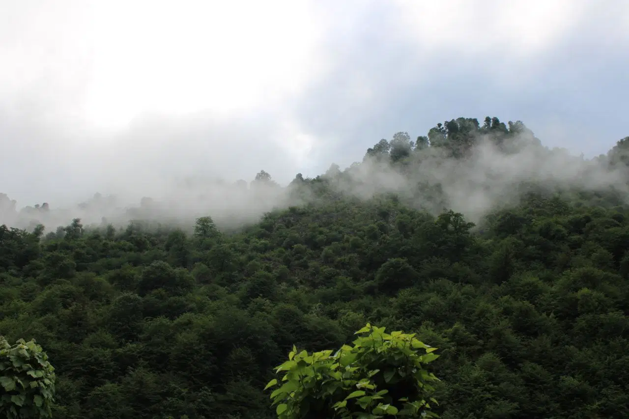 اجاره ویلا