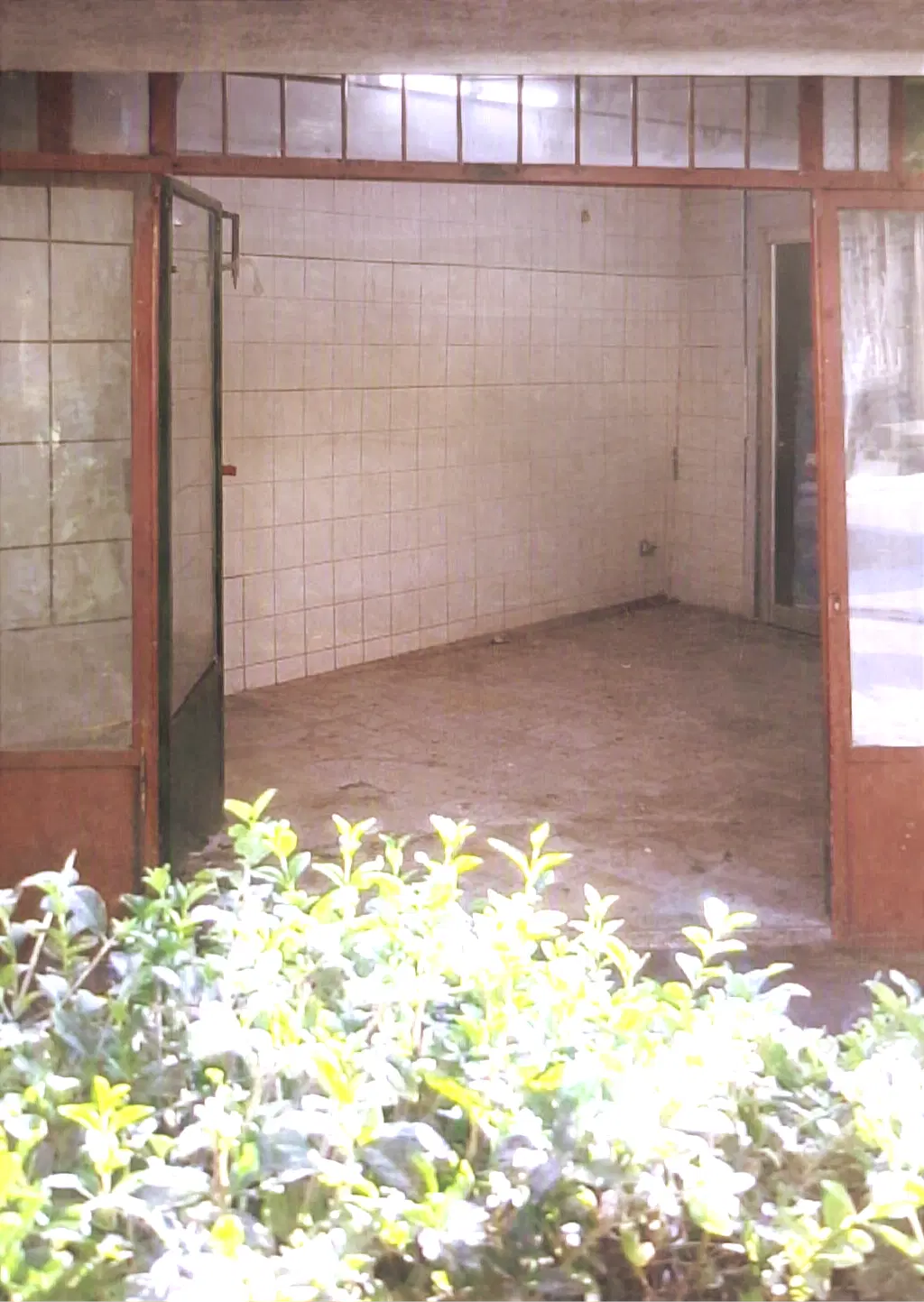 فروش دو دانگ از یک باب مغازه خیابان اصلی