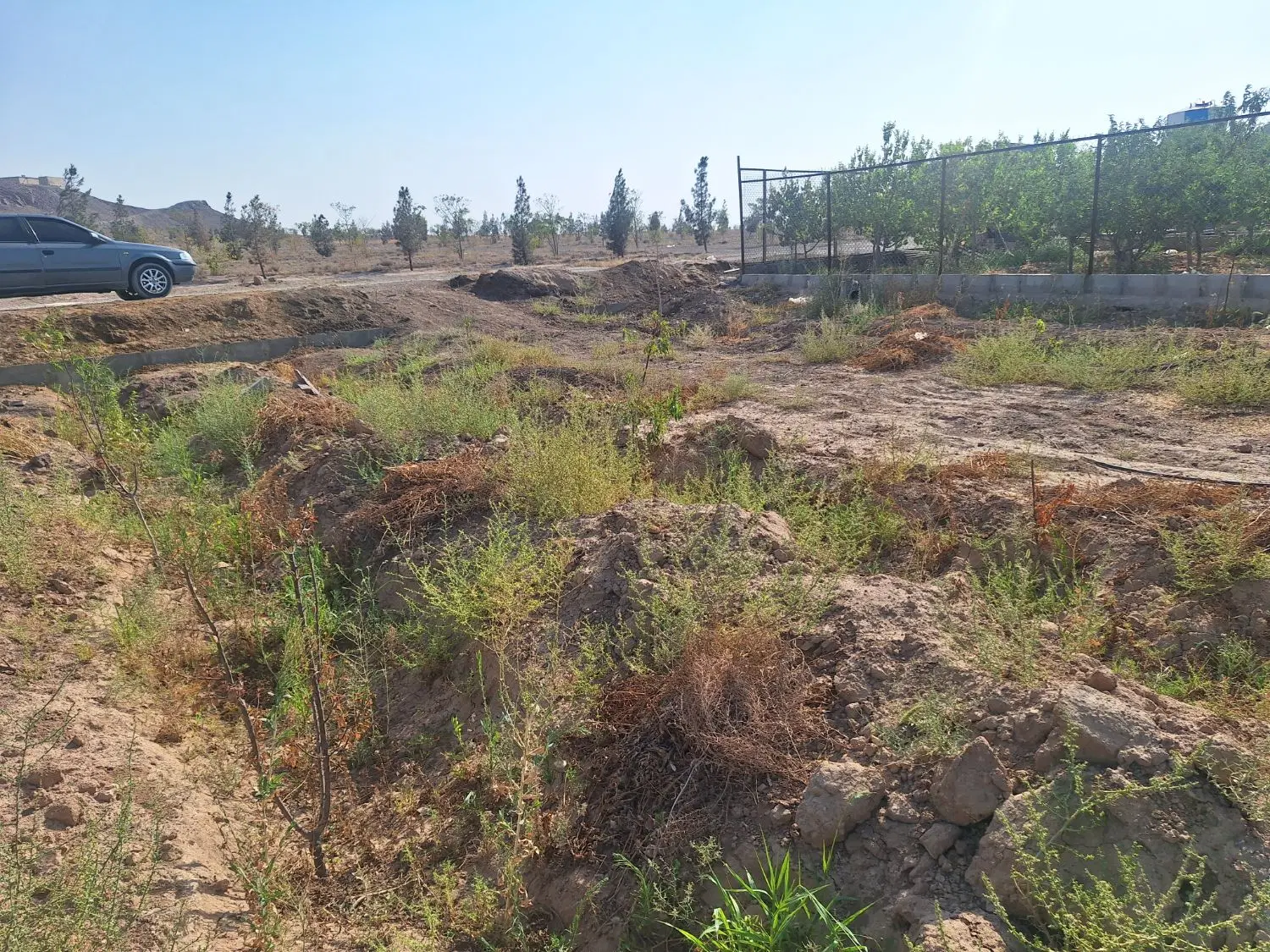 فروش زمین