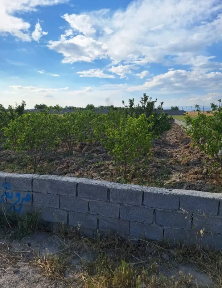 باغچه ۵۰۰متری برای فروش