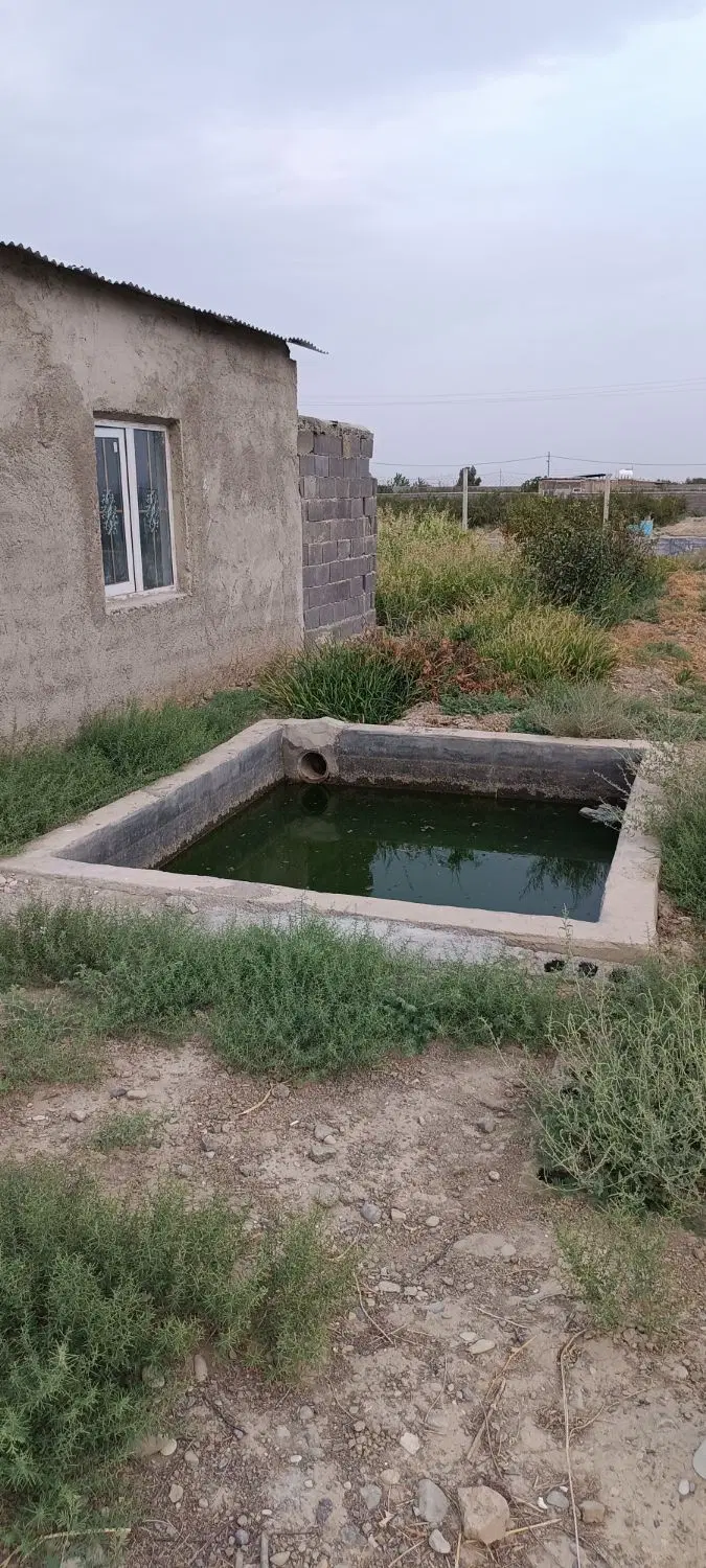 فروش باغ ۵۰۰ متری