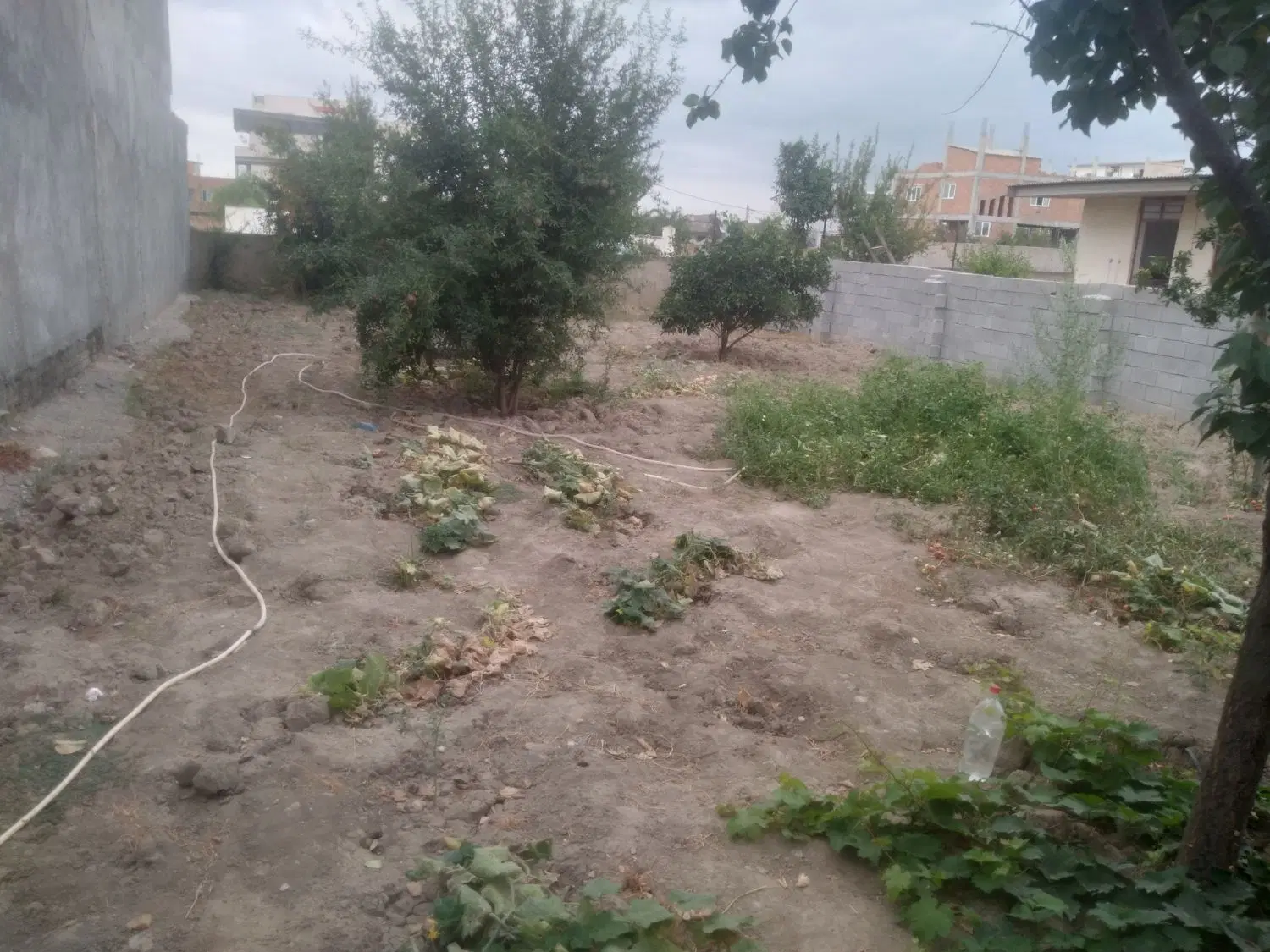 فروش زمین