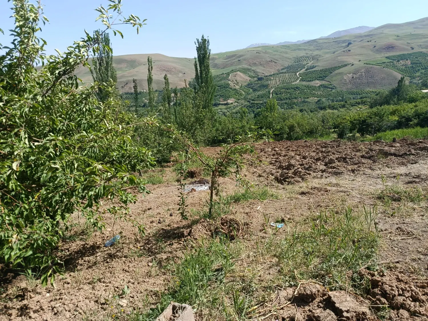 باغ گلدشت بروجرد